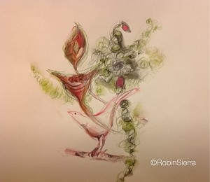bird sketch by robin sierra